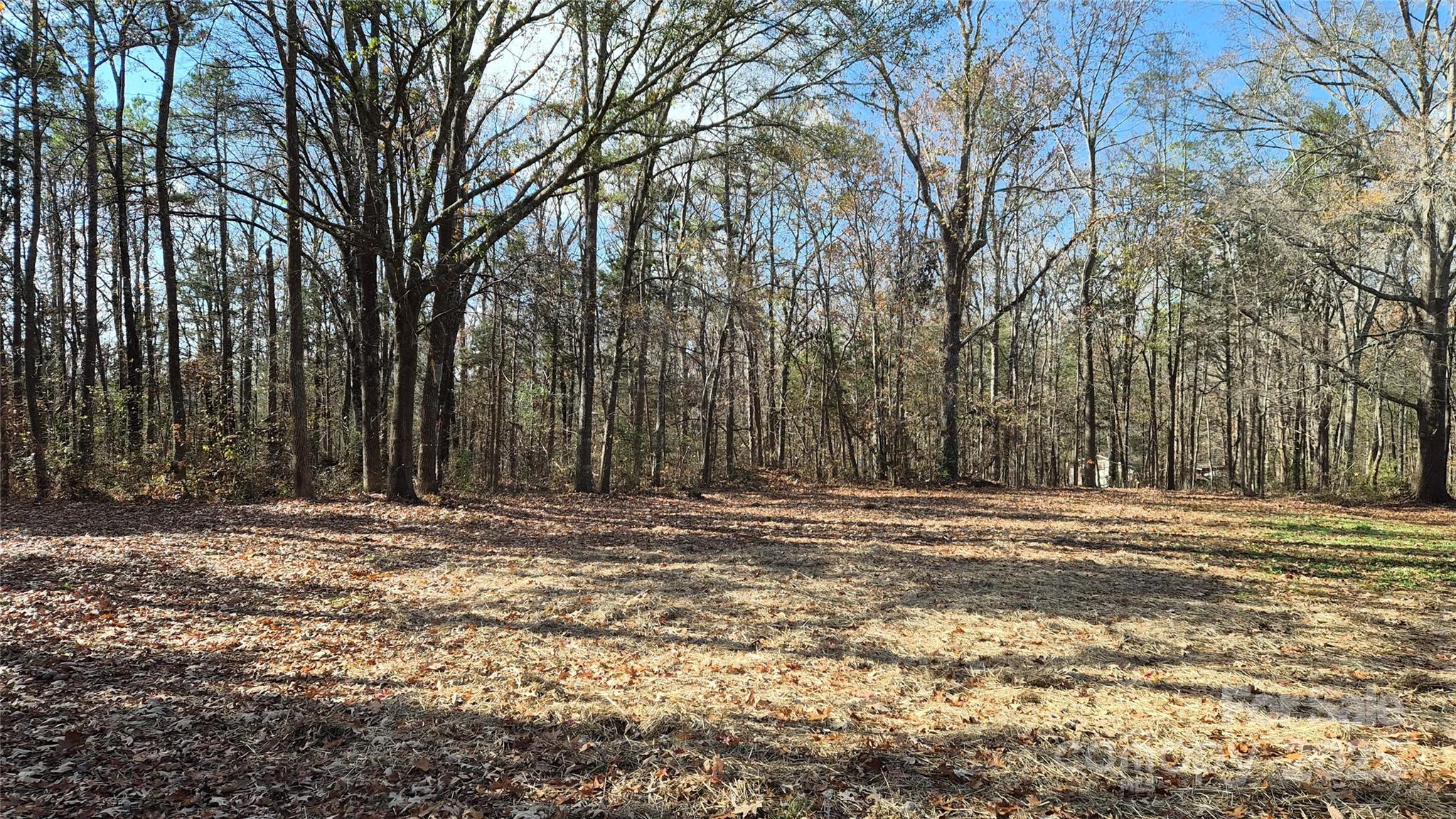 680 Tirzah Church Road Lancaster, SC 29720 - Photo 23 of 25 a view of a backyard with large trees