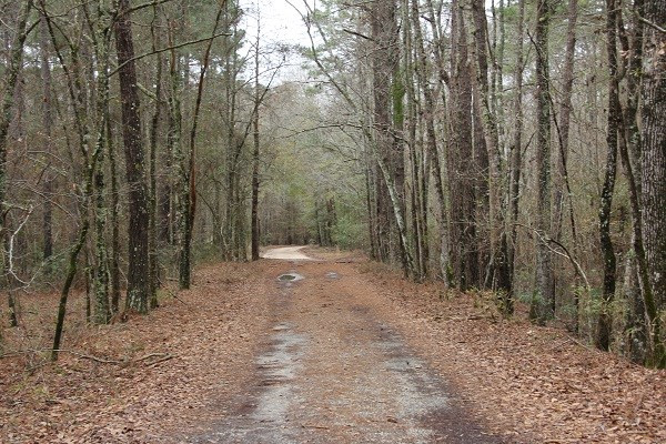 169 Robinson Road Cordova, SC 29039 - Photo 8 of 19 Photo 8