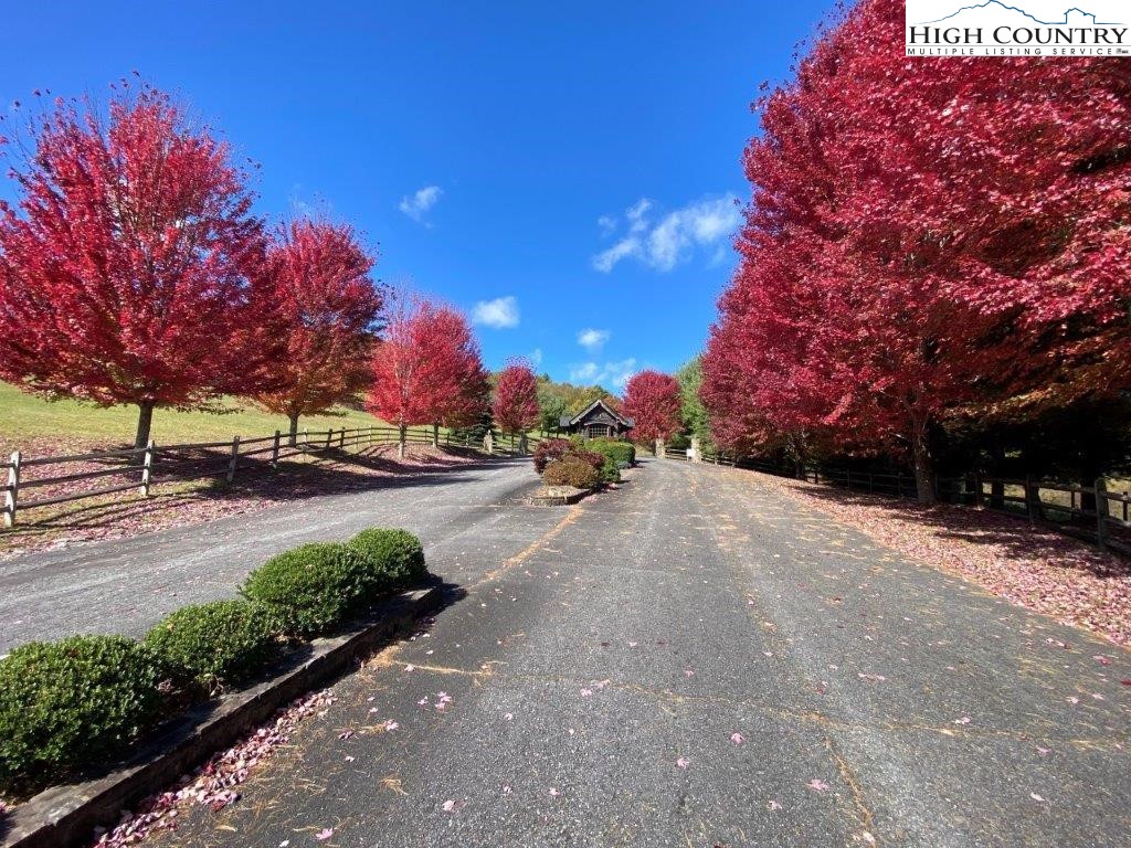 13 Twin Oaks Mountain Boulevard Sparta, NC 28675 - Photo 2 of 8 a view of road with trees