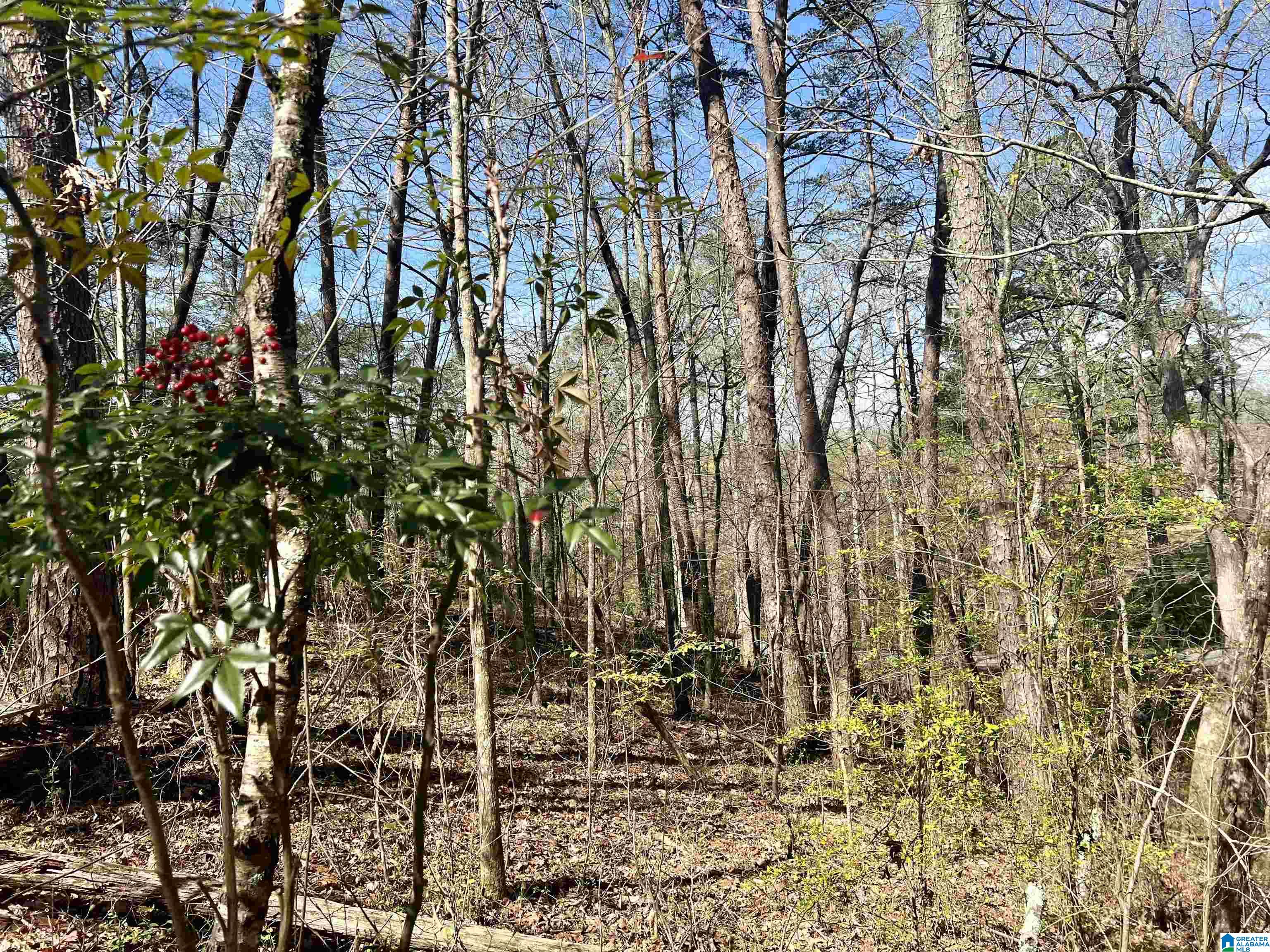 0 Lakeshore Lane, Unit 4 Oneonta, AL 35121 - Photo 43 of 49