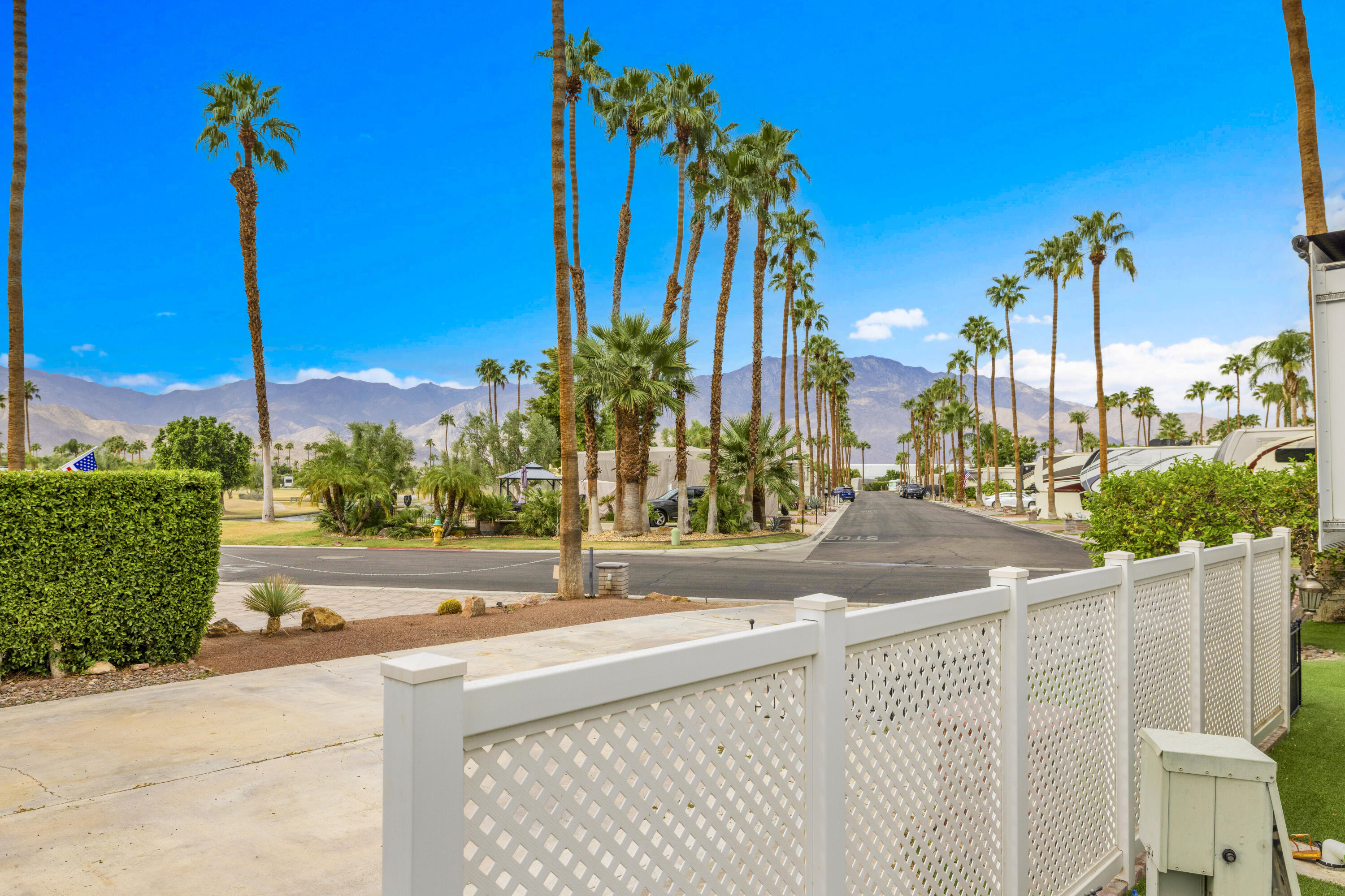 a view of a palm and yard