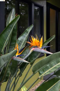 $1,398,000 | 10 Burdeck Court, Oakland, CA 94602