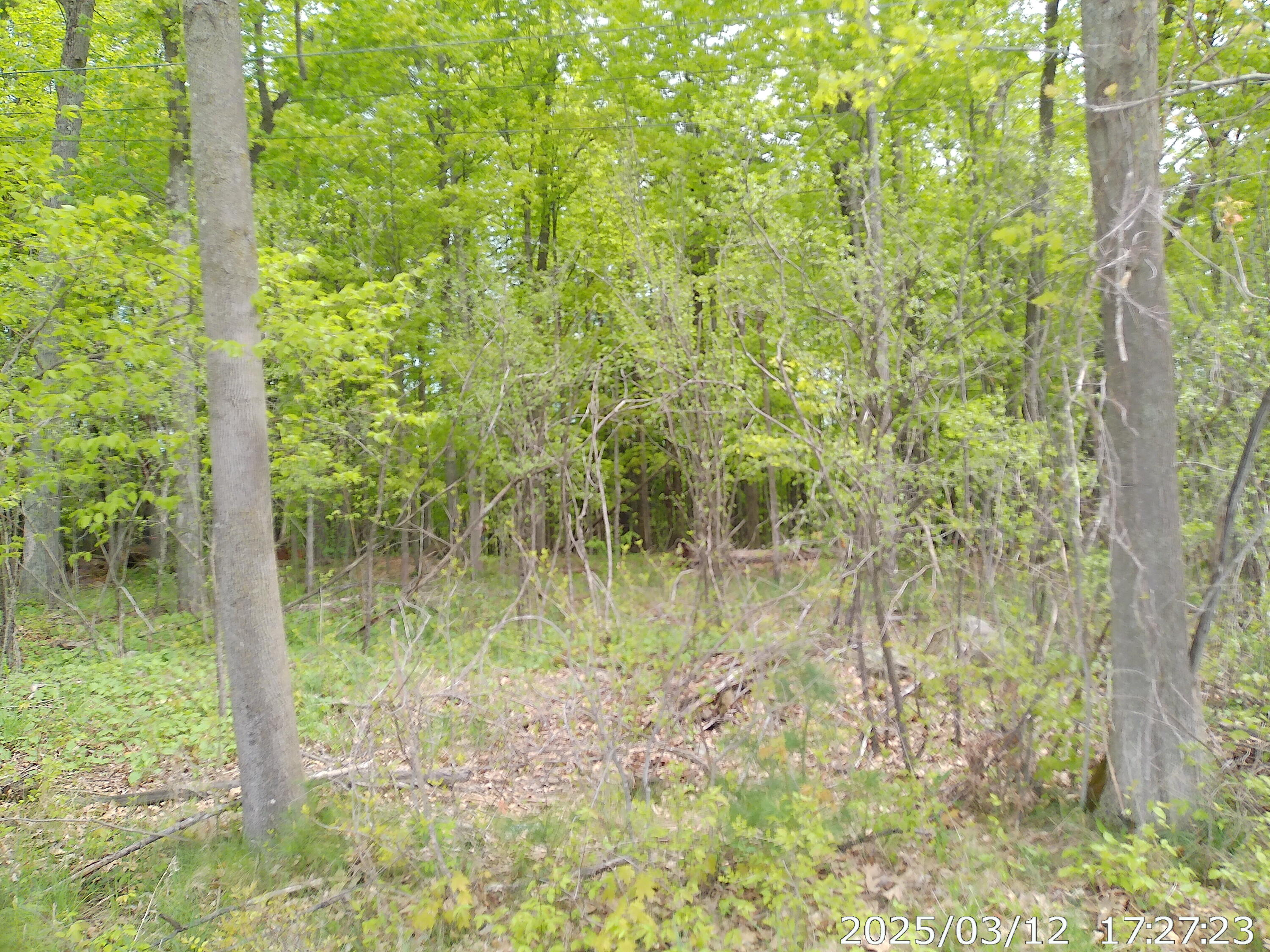 0 Barksdale Road Westport, NY 12993 - Photo 5 of 12