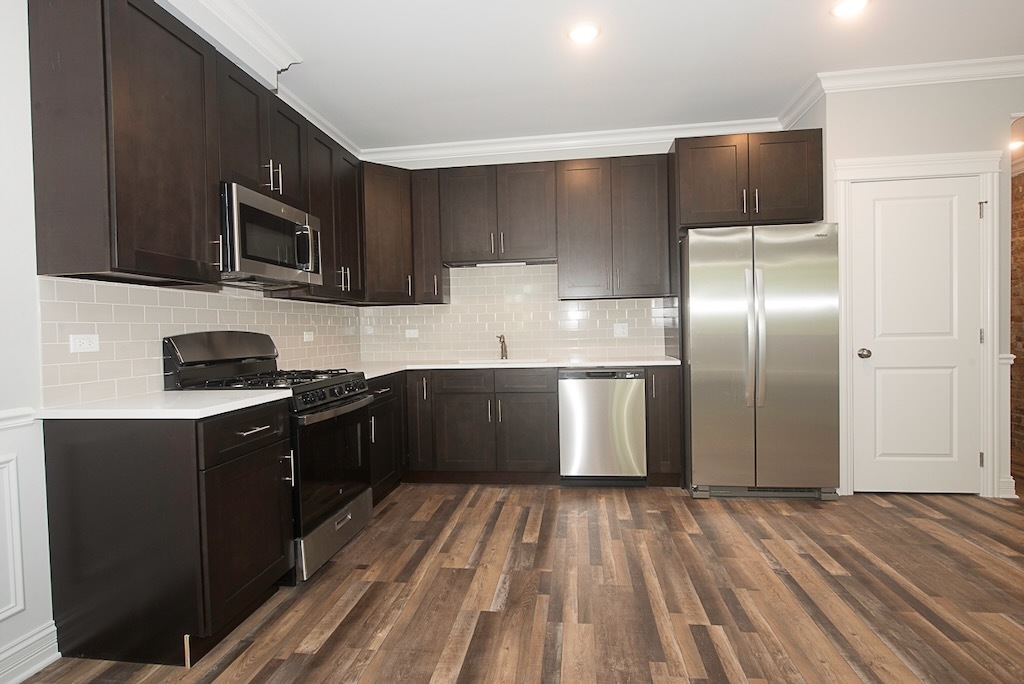 4117 South Michigan Avenue, Unit 2N Chicago, IL 60653 - Photo 4 of 20 a kitchen with stainless steel appliances granite countertop a refrigerator a stove top oven a sink and dishwasher