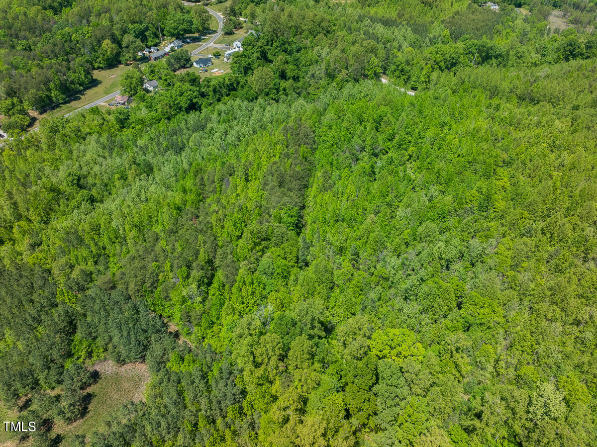 Lot-2-00 Wilson Road Providence, NC 27315 - Photo 23 of 39 Caswell Co. NC -Wilsons Ridge-Lot 2-23