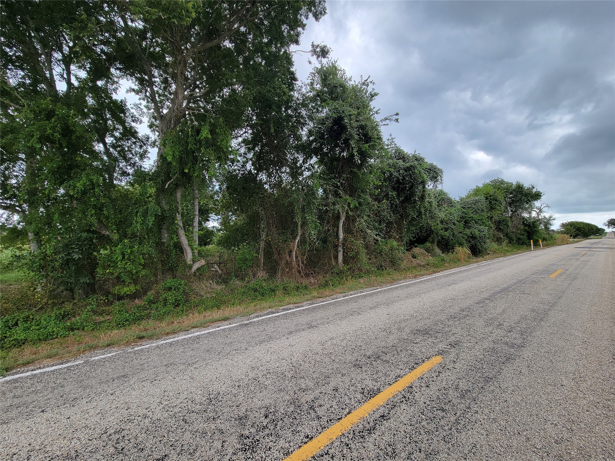 0 Fm 956 Schulenburg, TX 78956 - Photo 22 of 32 a view of a yard with plants and trees