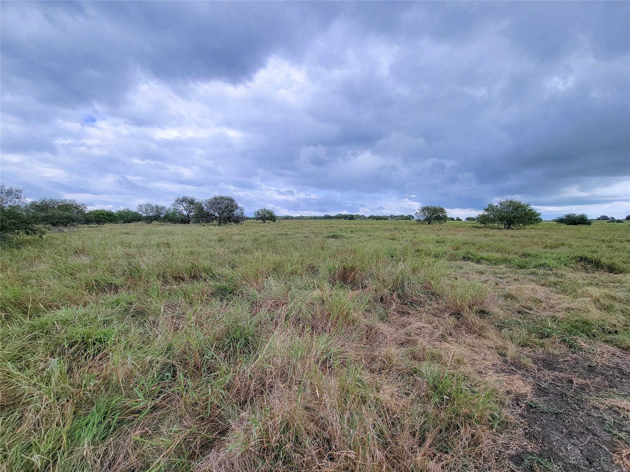 0 Fm 956 Schulenburg, TX 78956 - Photo 29 of 32 a view of a big yard with a house in the background