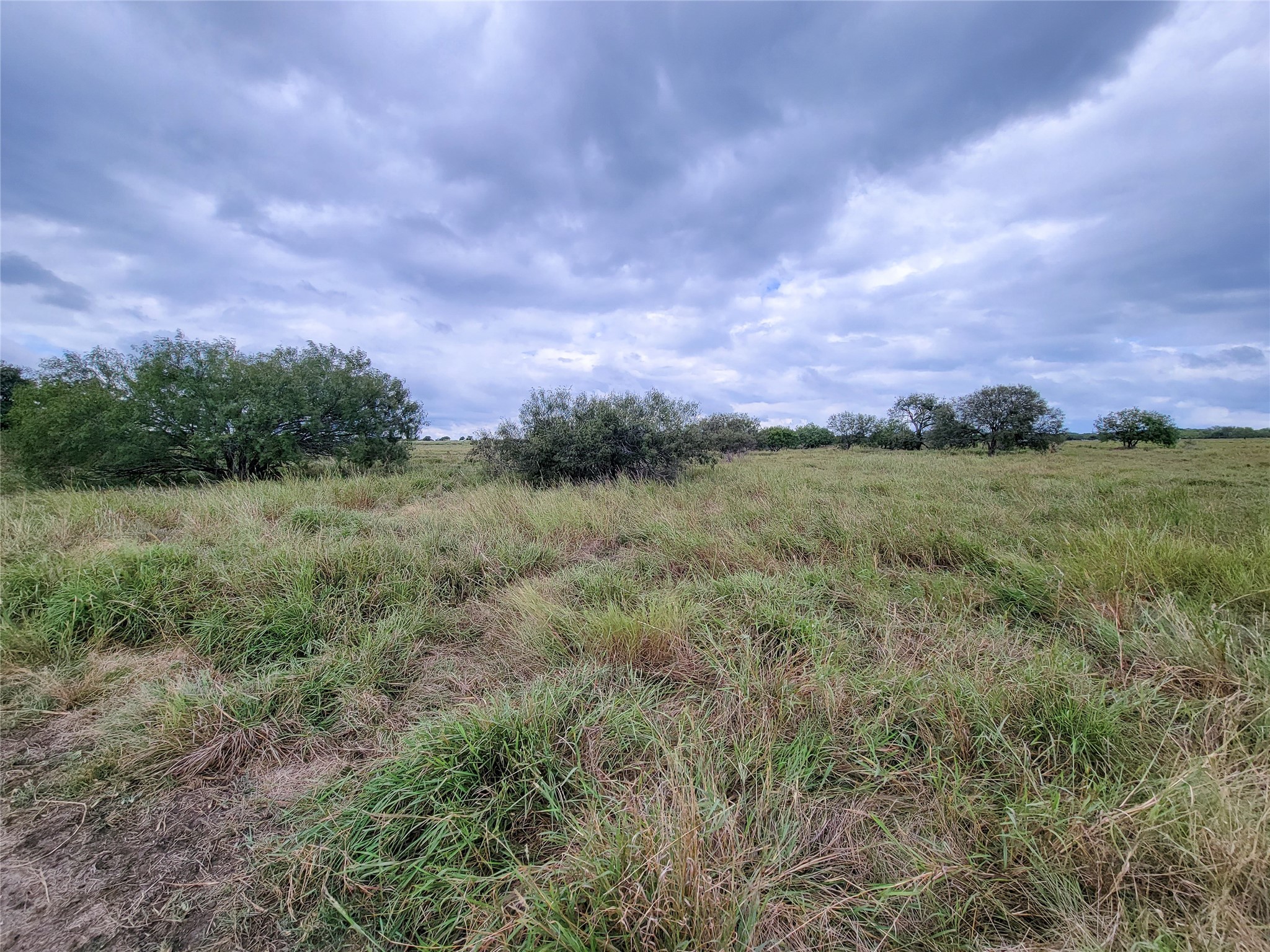 0 Fm 956 Schulenburg, TX 78956 - Photo 30 of 32 a view of a field with trees in background