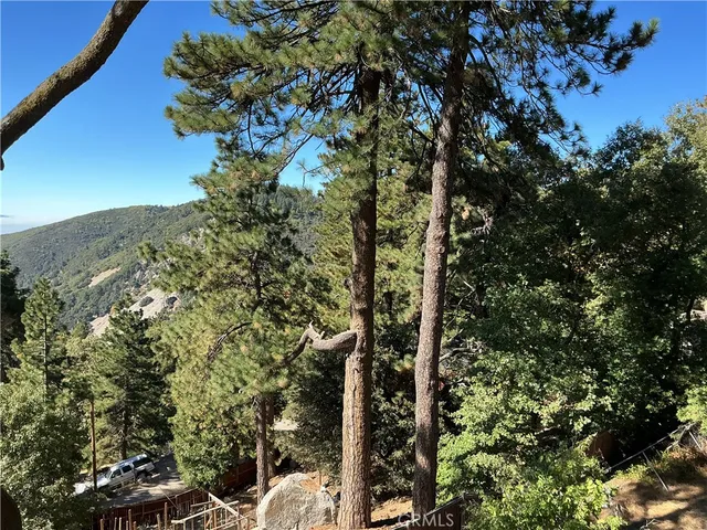 a bathroom with a shower and a sink