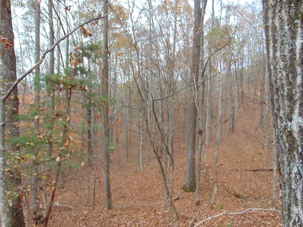 0 Bell Rattle Village Tellico Plains, TN 37385 - Photo 20 of 33