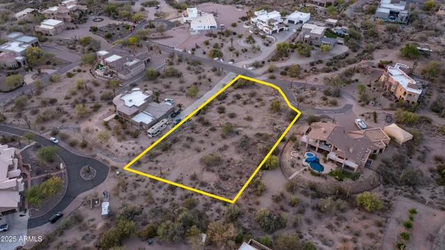 a view of a backyard with plants