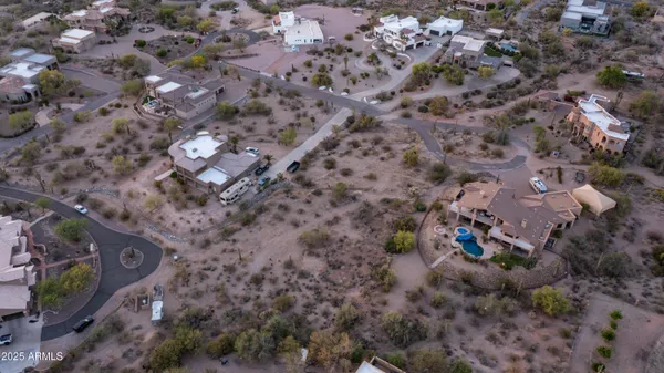a view of a forest with a tree