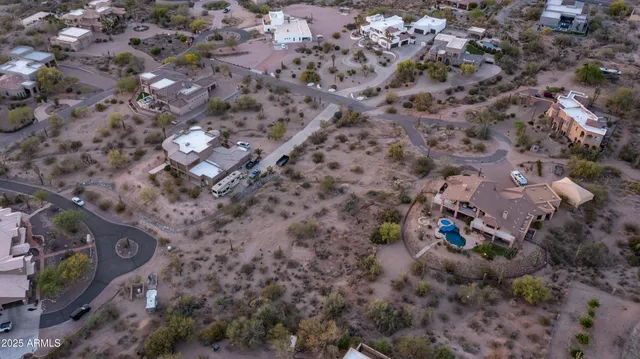a view of a forest with a tree