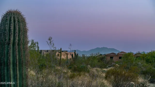 a view of a city with lush green forest