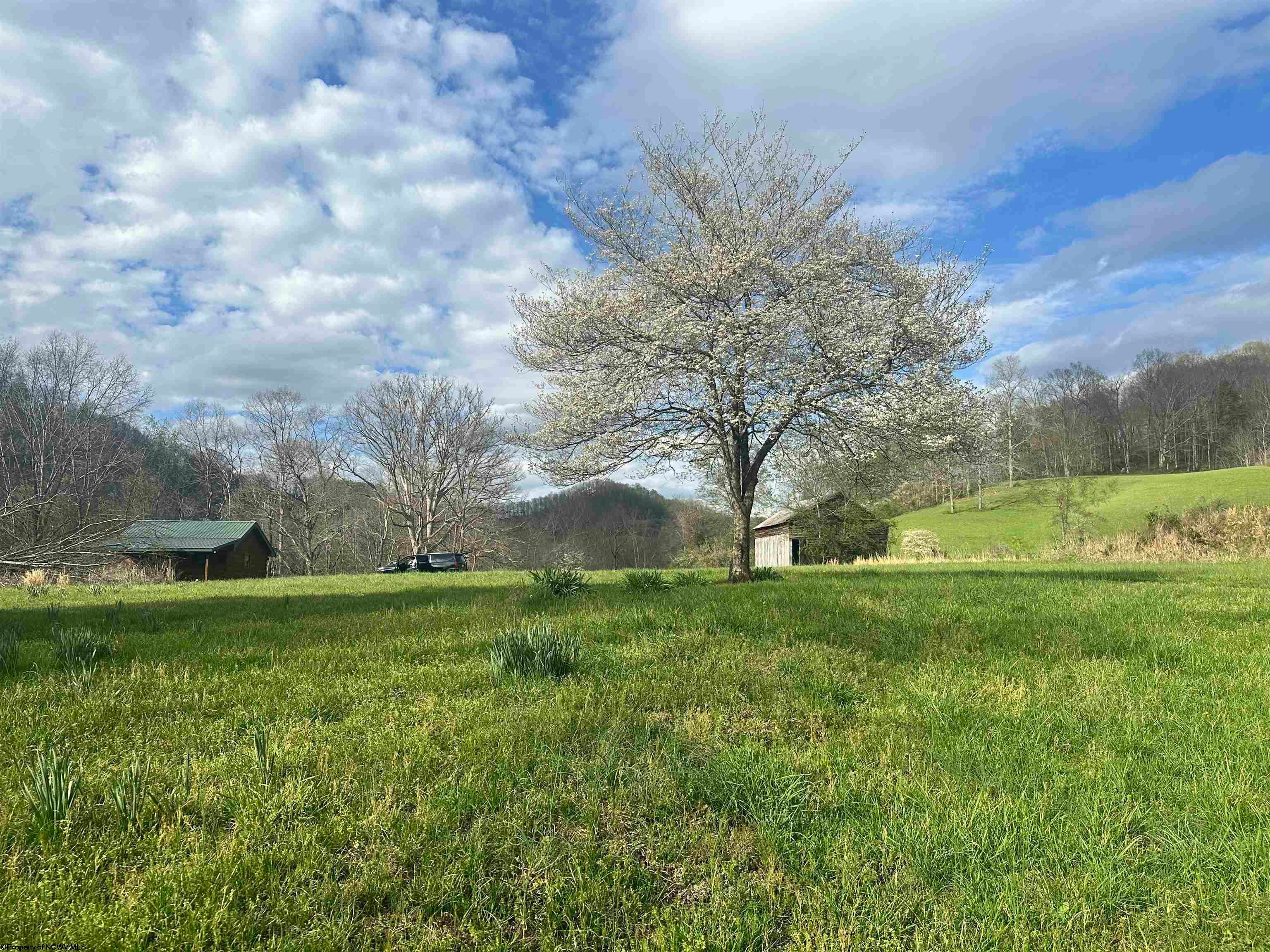 5601 Clover Fork Road Orlando, WV 26412 - Photo 42 of 44 Gallery Image 42