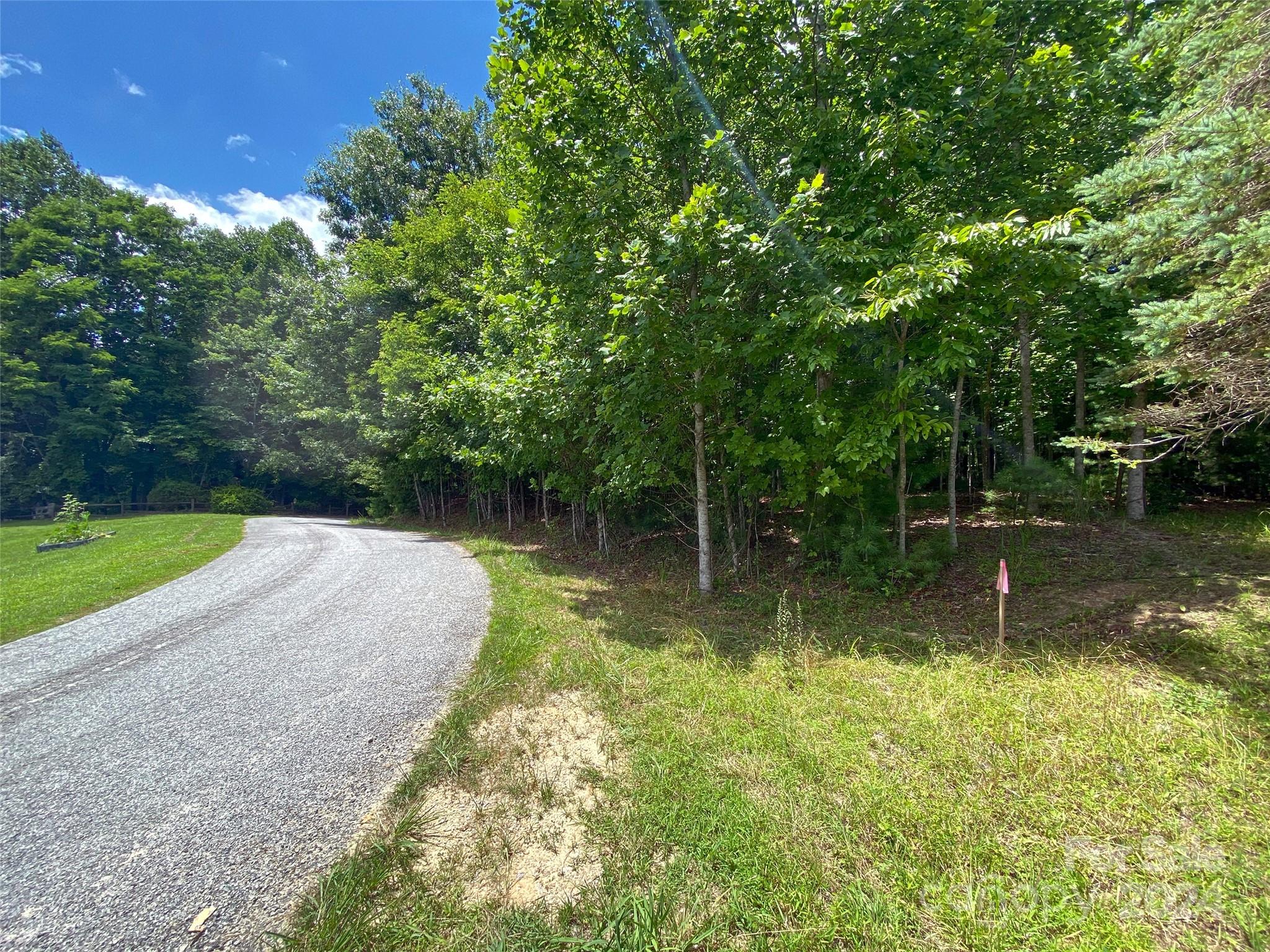Tbd Kanuga Ridge Road Hendersonville, NC 28739 - Photo 11 of 25 Gallery Image 11