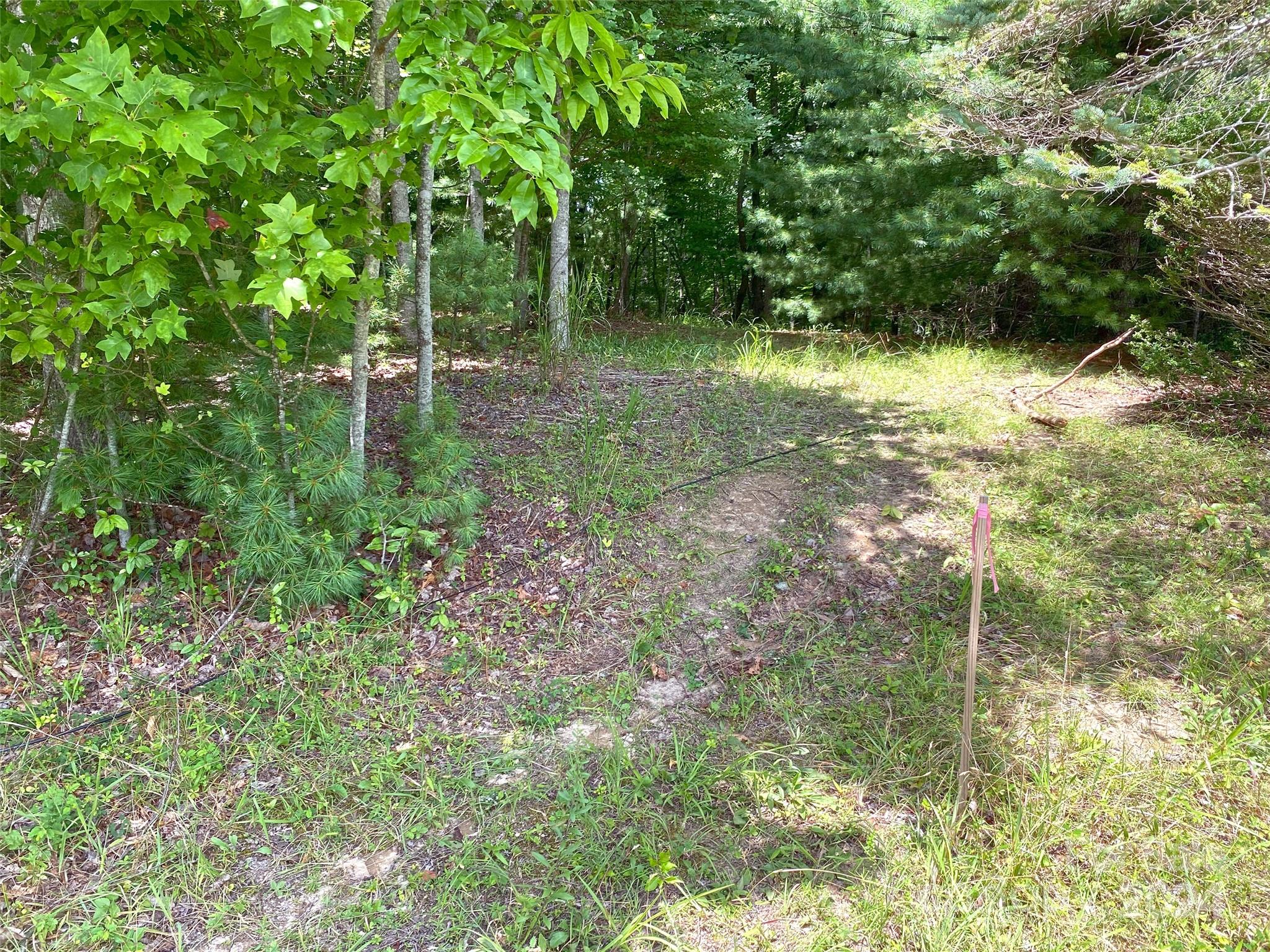 Tbd Kanuga Ridge Road Hendersonville, NC 28739 - Photo 12 of 25 Gallery Image 12