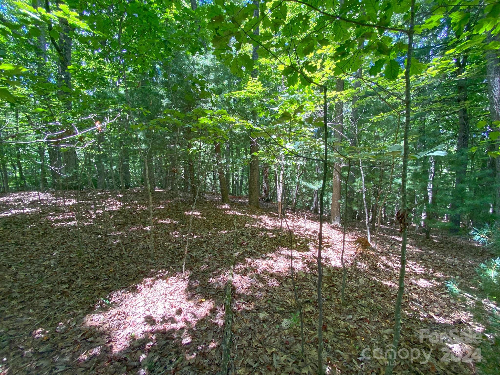 Tbd Kanuga Ridge Road Hendersonville, NC 28739 - Photo 15 of 25 Gallery Image 15
