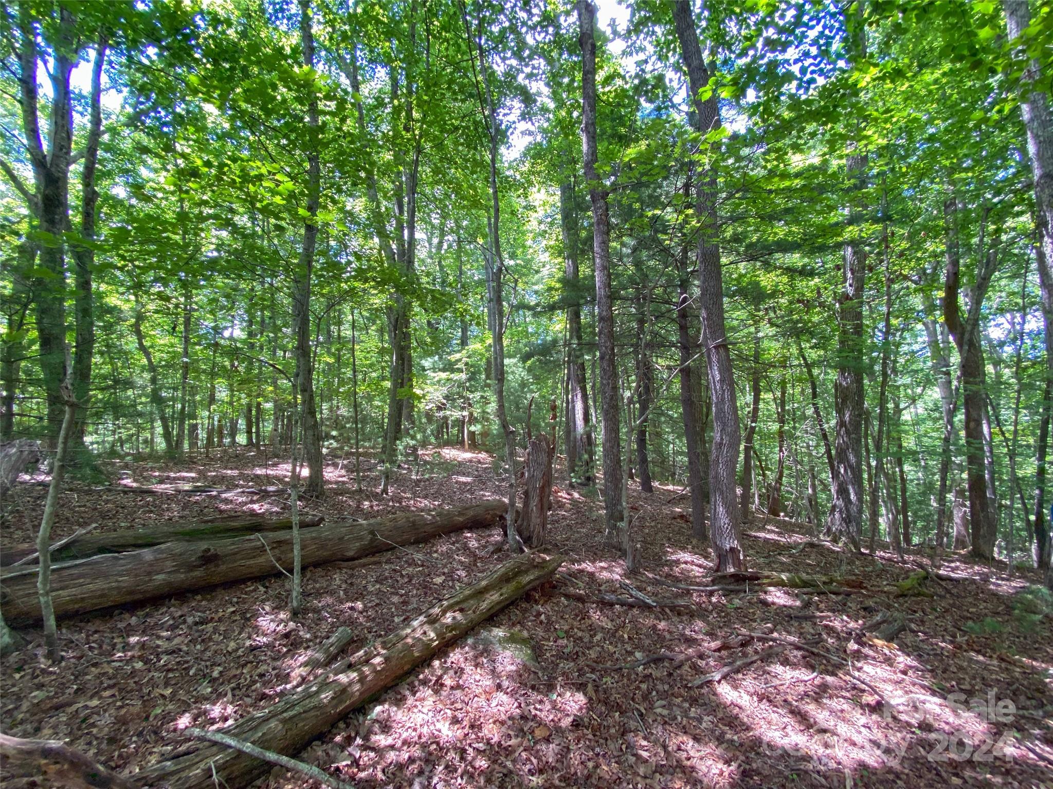 Tbd Kanuga Ridge Road Hendersonville, NC 28739 - Photo 16 of 25 Gallery Image 16