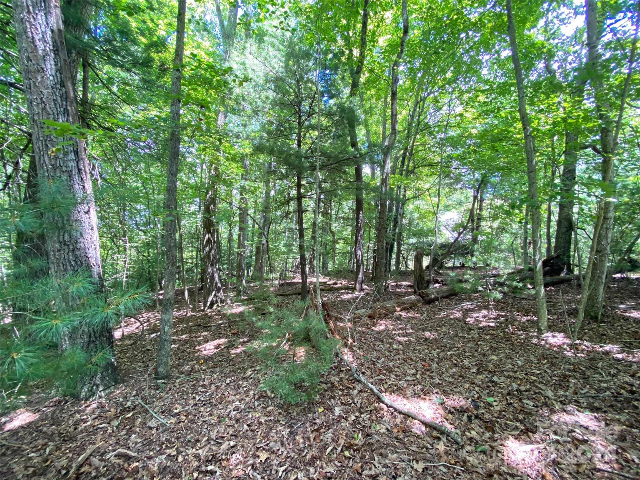 Tbd Kanuga Ridge Road Hendersonville, NC 28739 - Photo 17 of 25 Gallery Image 17