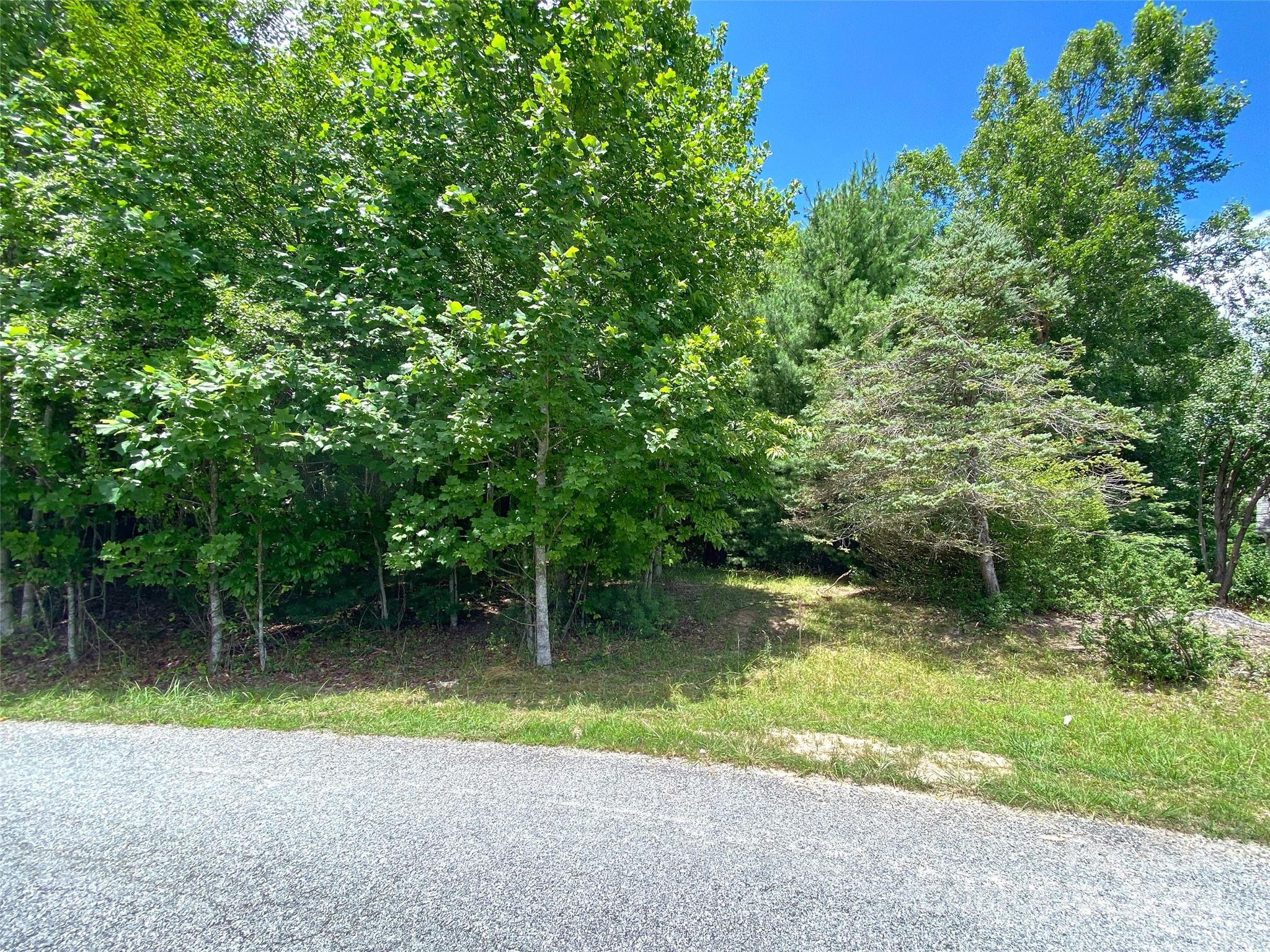 Tbd Kanuga Ridge Road Hendersonville, NC 28739 - Photo 21 of 25 Gallery Image 21
