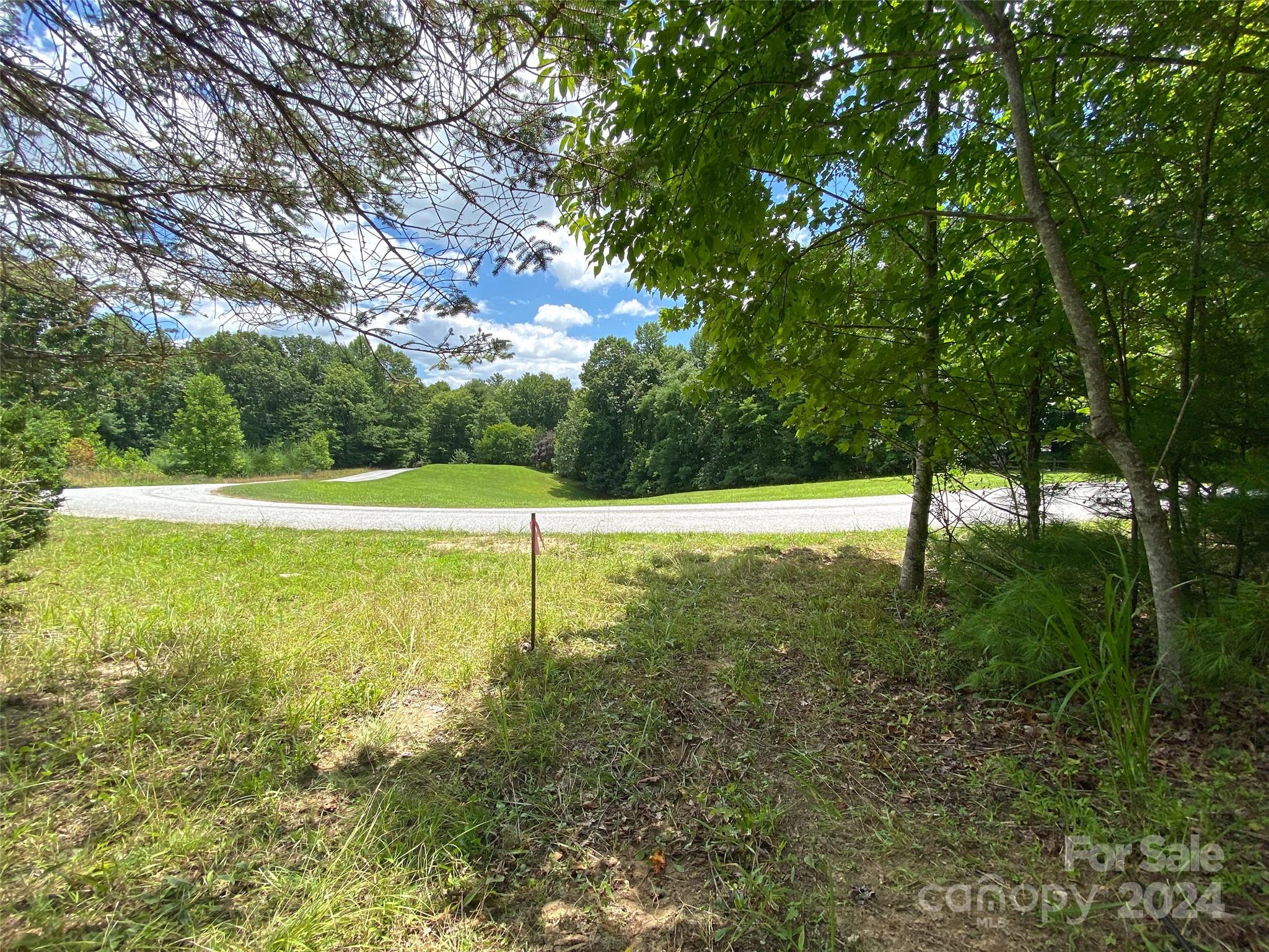 Tbd Kanuga Ridge Road Hendersonville, NC 28739 - Photo 22 of 25 Gallery Image 22