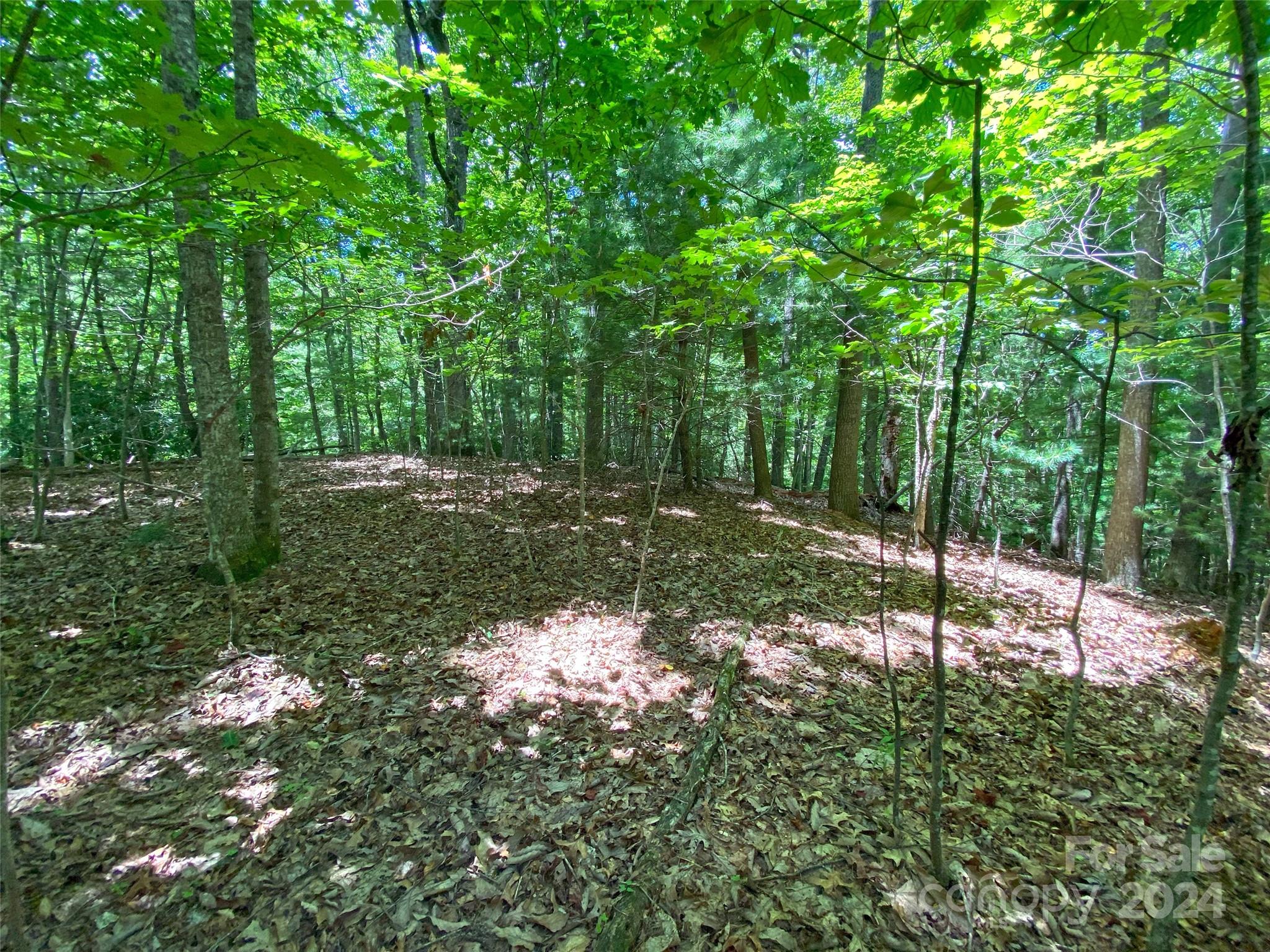 Tbd Kanuga Ridge Road Hendersonville, NC 28739 - Photo 24 of 25 Gallery Image 24