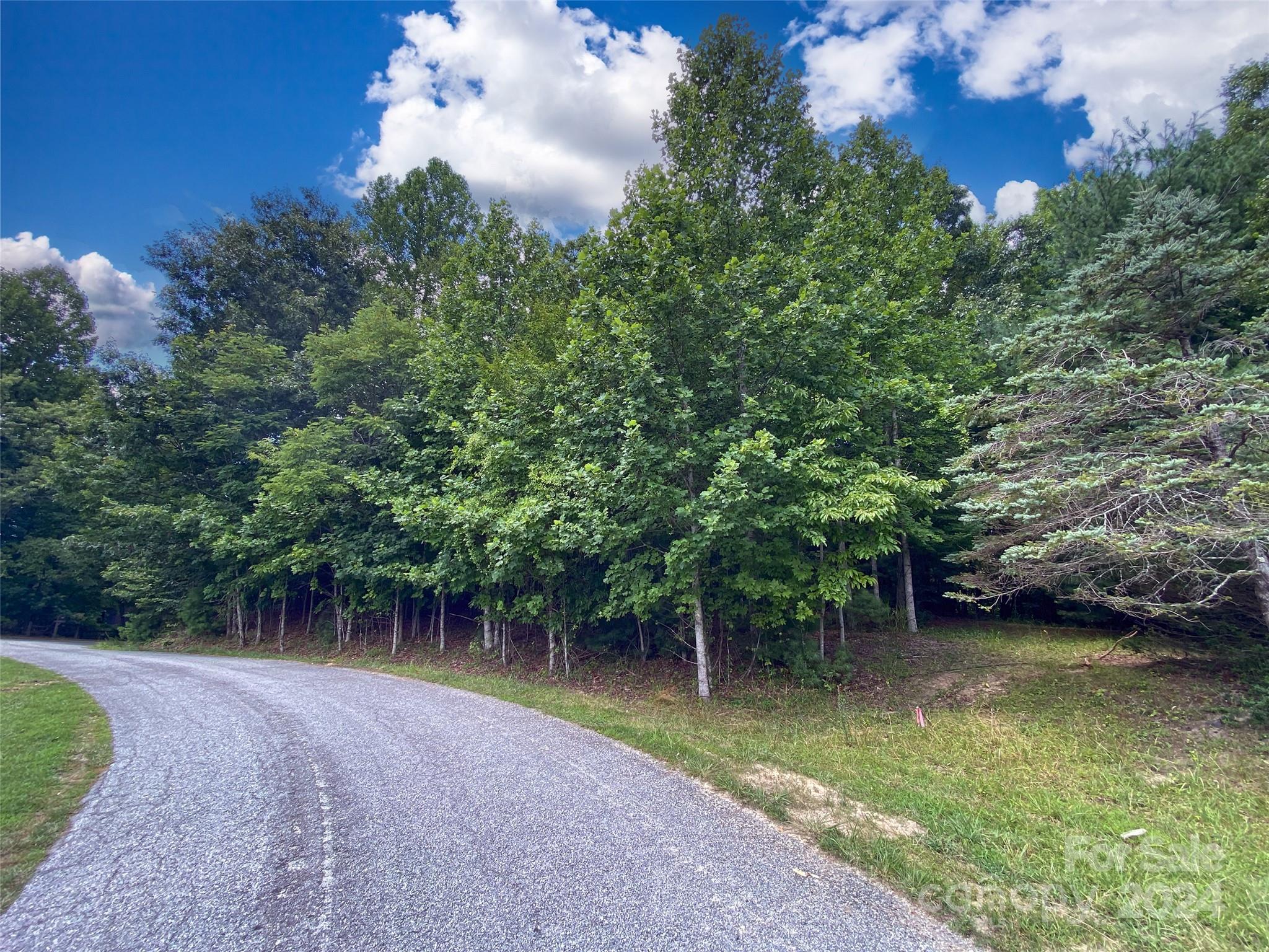 Tbd Kanuga Ridge Road Hendersonville, NC 28739 - Photo 8 of 25 Gallery Image 8
