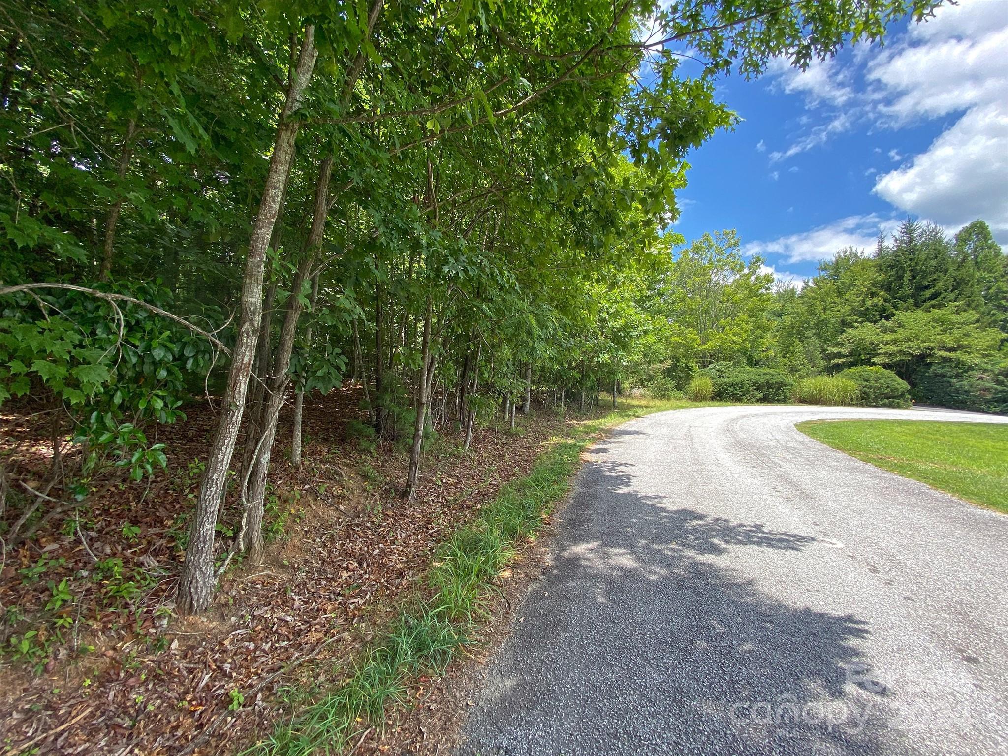 Tbd Kanuga Ridge Road Hendersonville, NC 28739 - Photo 9 of 25 Gallery Image 9