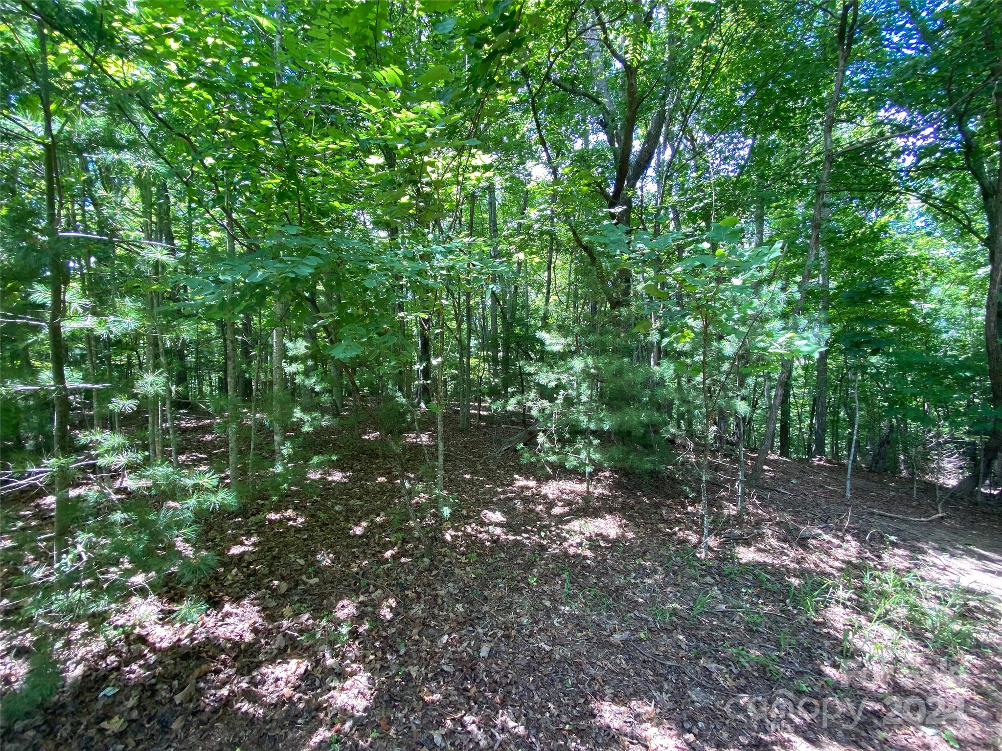 Tbd Kanuga Ridge Road Hendersonville, NC 28739 - Photo 10 of 25 Gallery Image 10