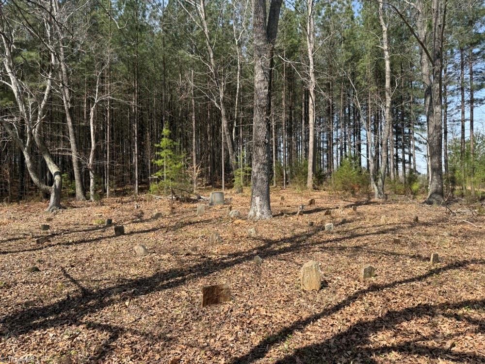 508 New Lebanon Church Road Reidsville, NC 27320 - Photo 21 of 35