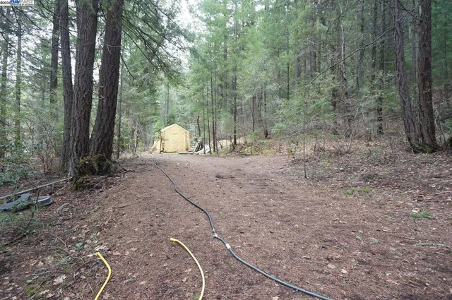 $199,000 | 4990 Indian Creek Road, Douglas City, CA 96024