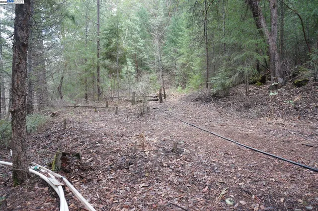 $199,000 | 4990 Indian Creek Road, Douglas City, CA 96024