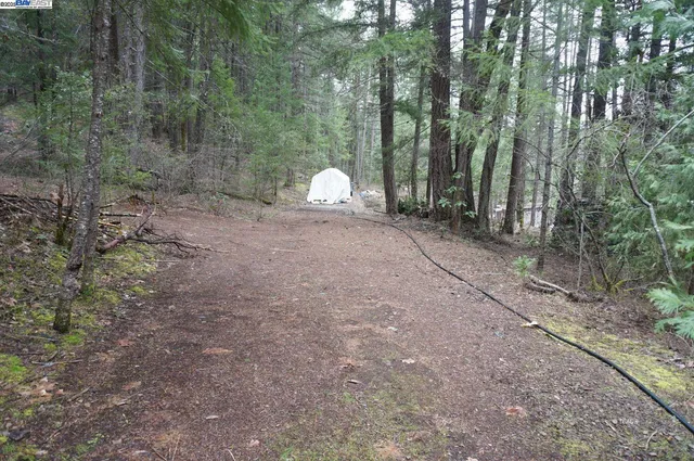 $199,000 | 4990 Indian Creek Road, Douglas City, CA 96024