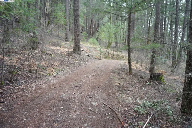 $199,000 | 4990 Indian Creek Road, Douglas City, CA 96024