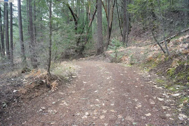 $199,000 | 4990 Indian Creek Road, Douglas City, CA 96024