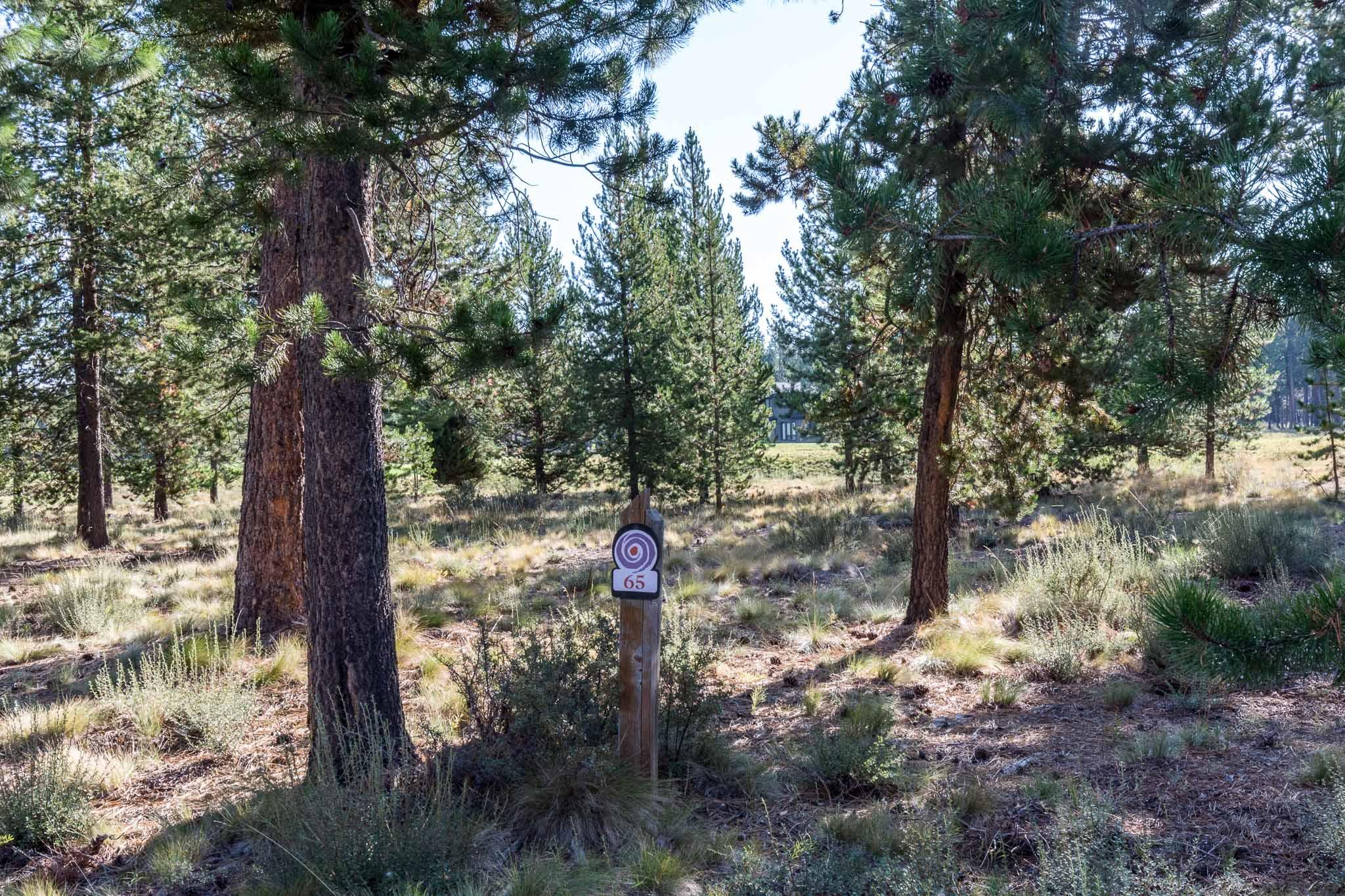 56694 Dancing Rock Loop Bend, OR 97707 - Photo 1 of 7 65 Dancing Rock Loop
