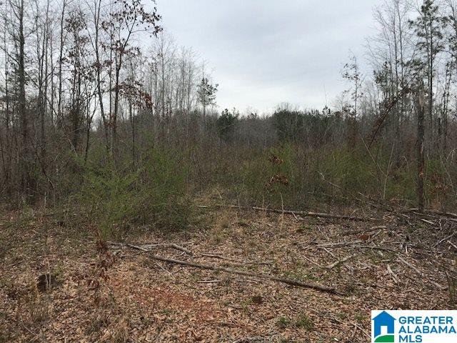 2651 Owens Road, Unit 31 ACRES Ashland, AL 36251 - Photo 6 of 7