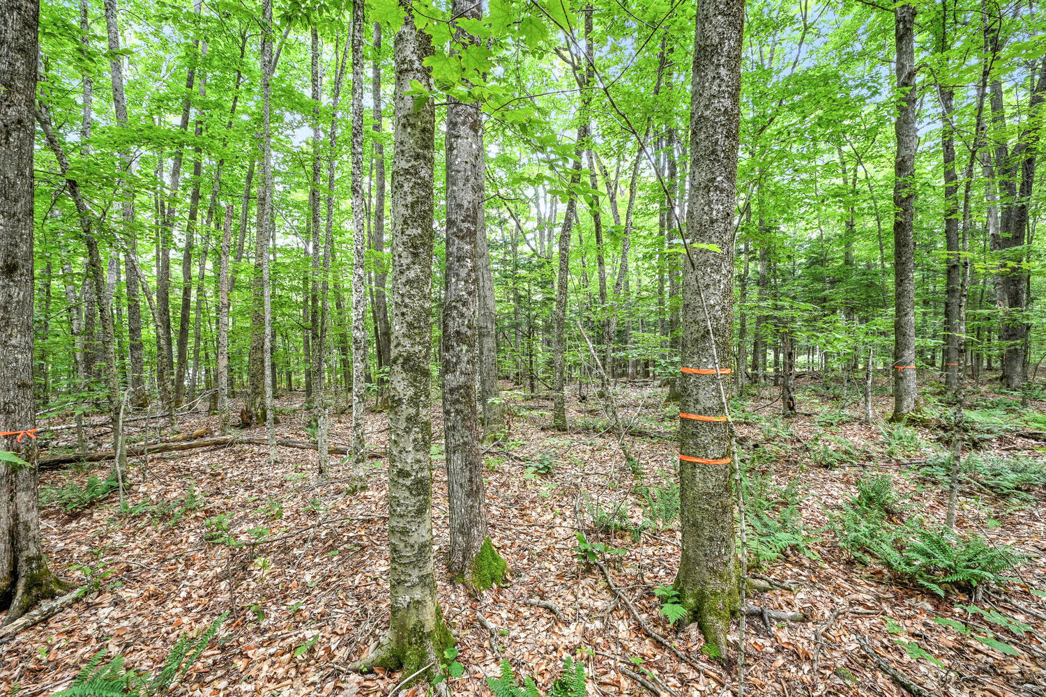 127 Hight Road Mount Vernon, ME 04352 - Photo 63 of 75 127 Hight Rd Mount Vernon-large-054-006-