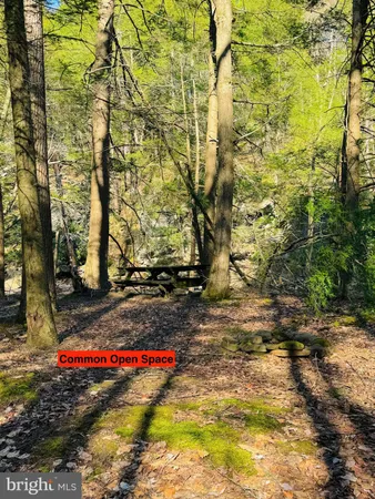 a view of open space