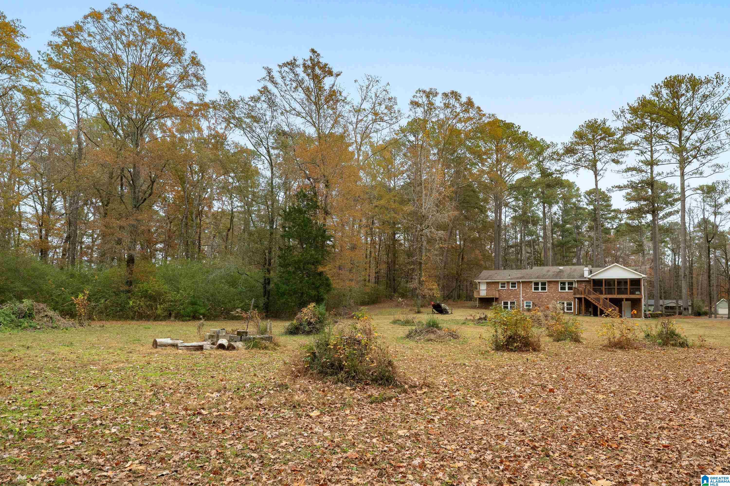 2320 Montevallo Road Southwest Leeds, AL 35094 - Photo 48 of 62