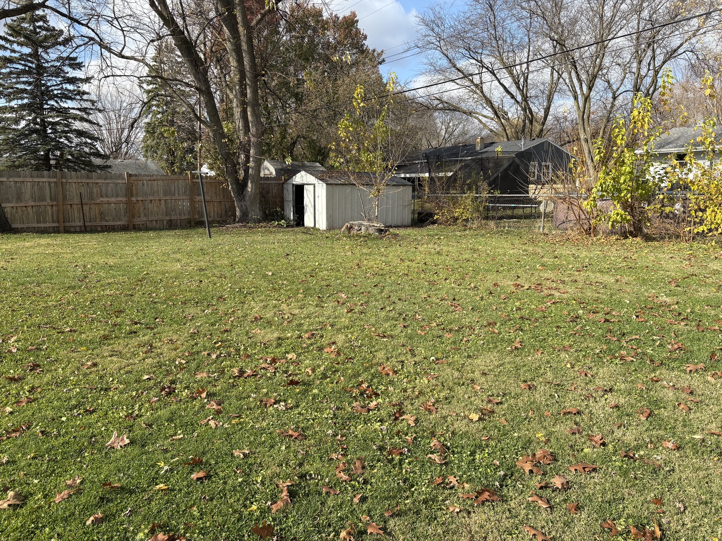 411 Phyllis Avenue Rochelle, IL 61068 - Photo 24 of 26 a house that has a tree in front of it