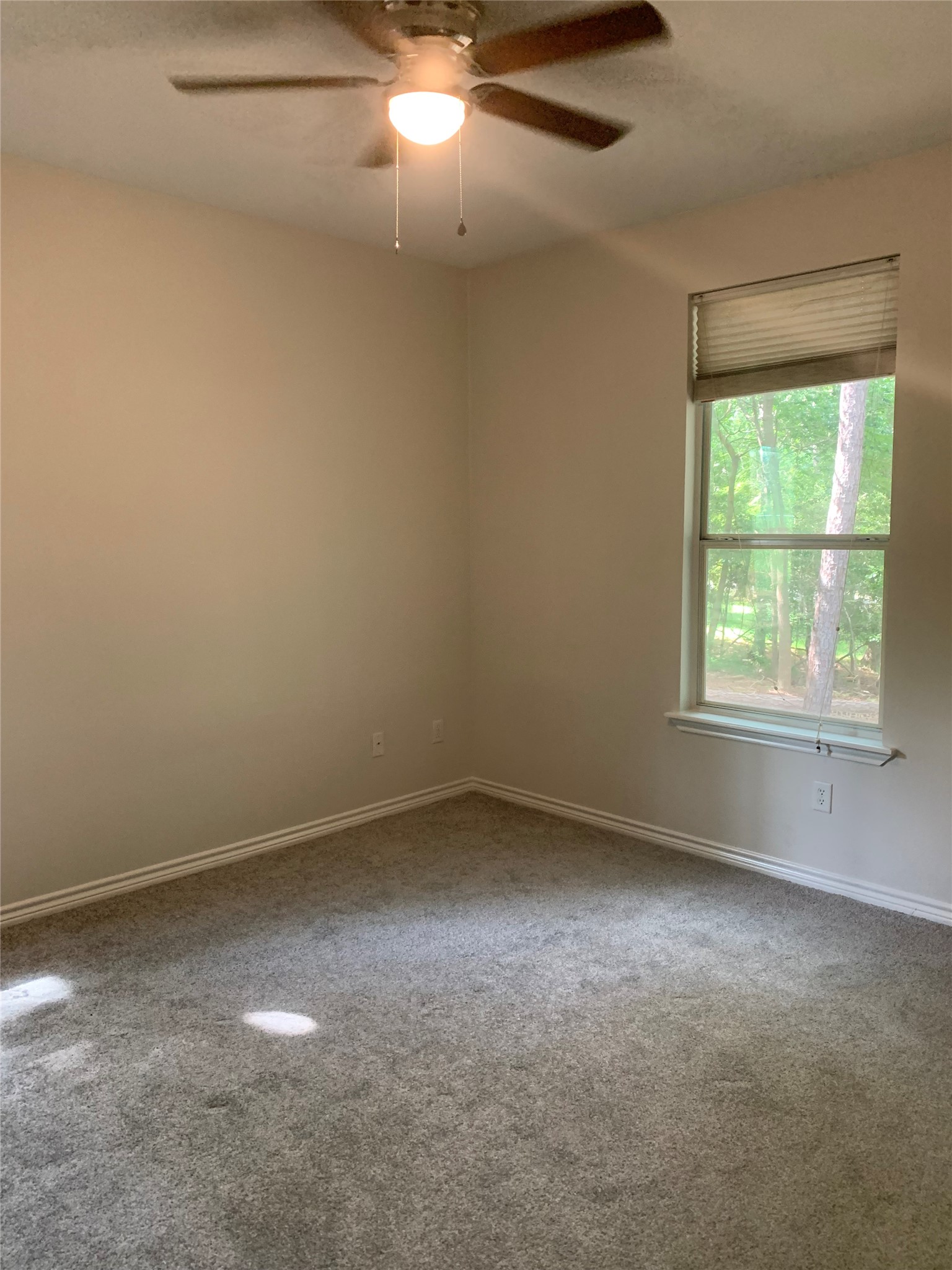 11 Lords Circle Coldspring, TX 77331 - Photo 9 of 26 Third bedroom with large windows