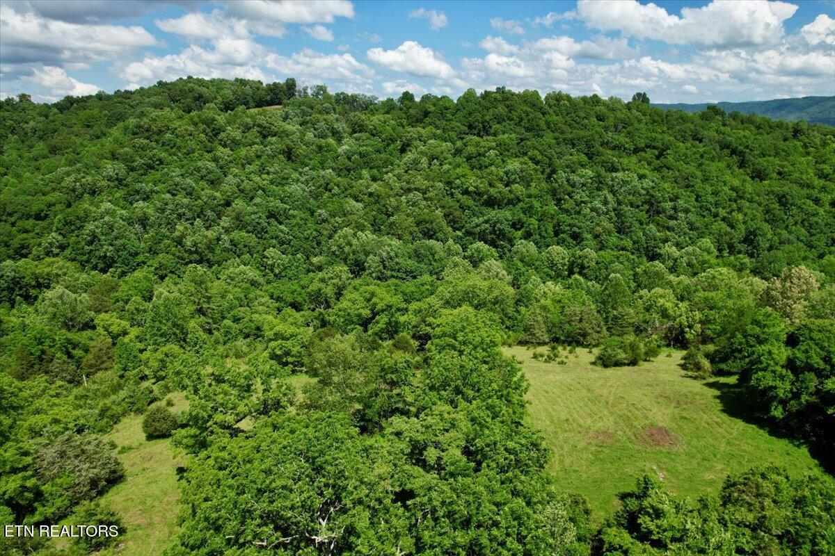 187 Van Huss Road Rose Hill, VA 24281 - Photo 22 of 44 20-DJI_0661