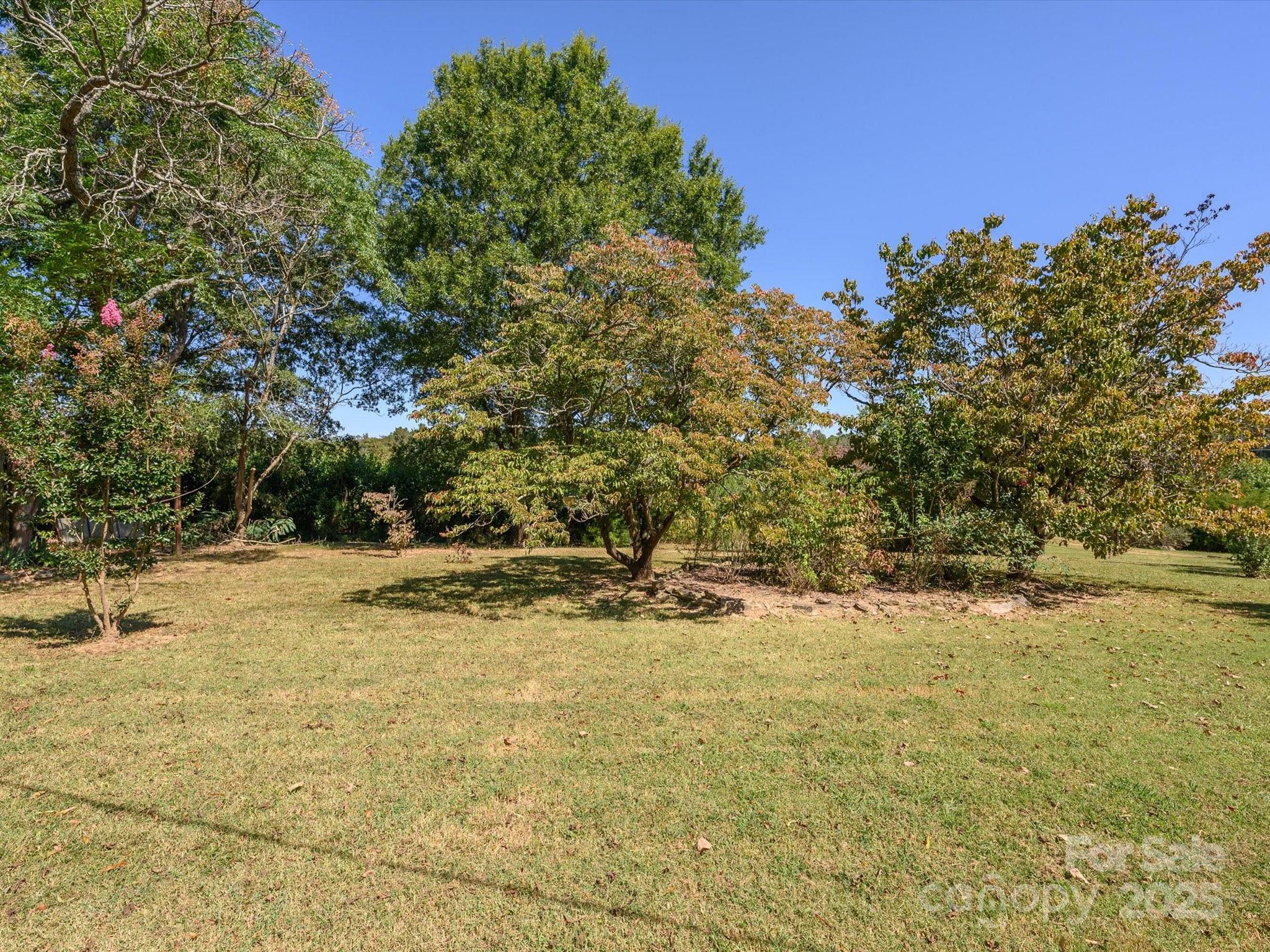 7022 White Store Road Marshville, NC 28103 - Photo 3 of 26 a view of a yard with trees