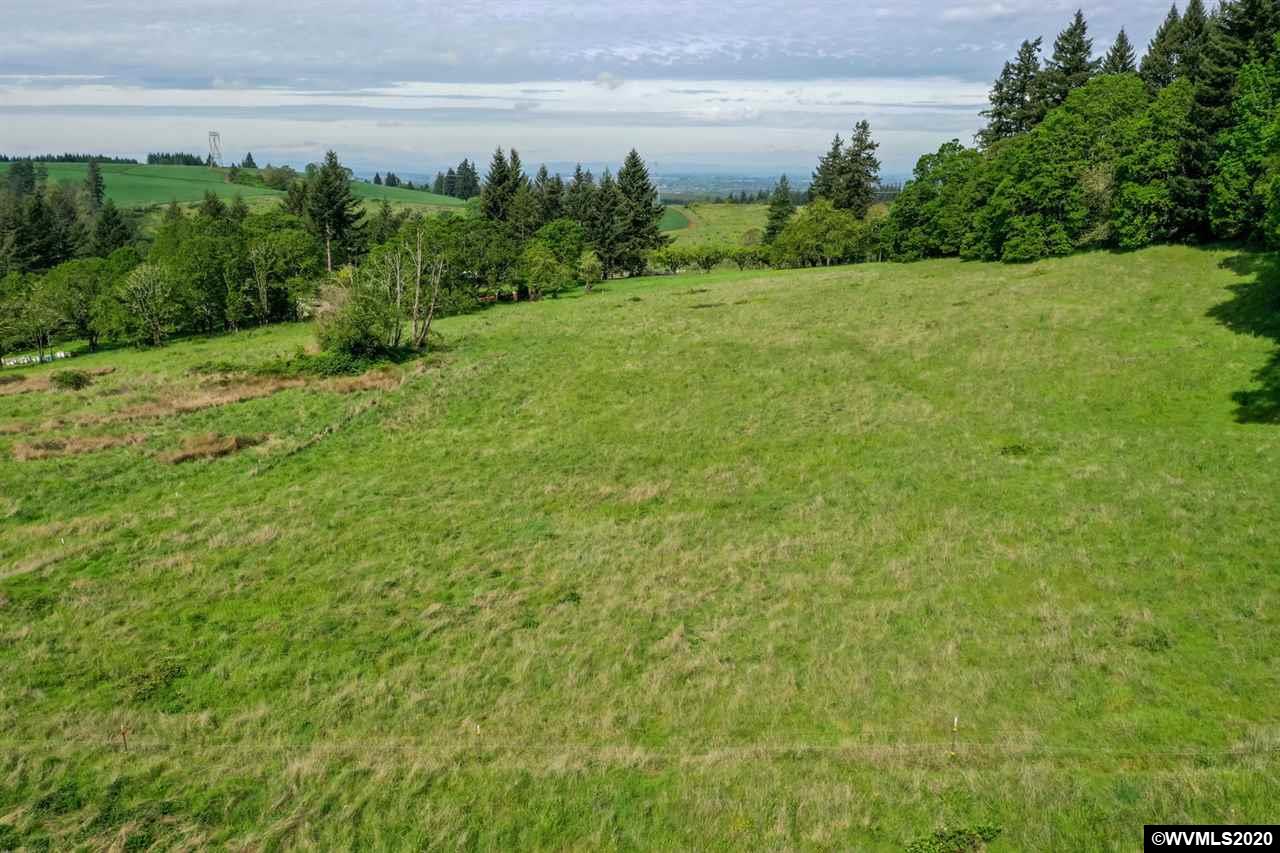 5913 Davis Creek Road Northeast Silverton, OR 97381 - Photo 8 of 9