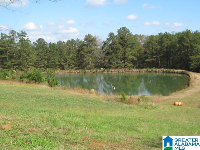 3635 Batton Road Bessemer, AL 35022 - Photo 5 of 13 Gallery Image 5