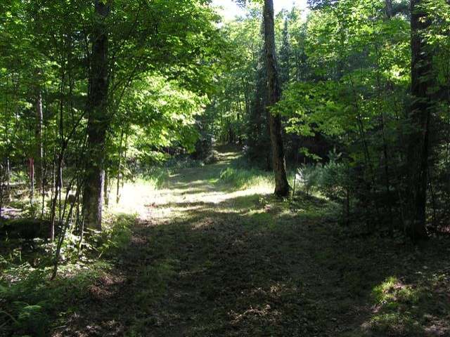 On Big Lake Landing Road, Unit LOT 2 Land O'Lakes, WI 54540 - Photo 11 of 12 Gallery Image 11