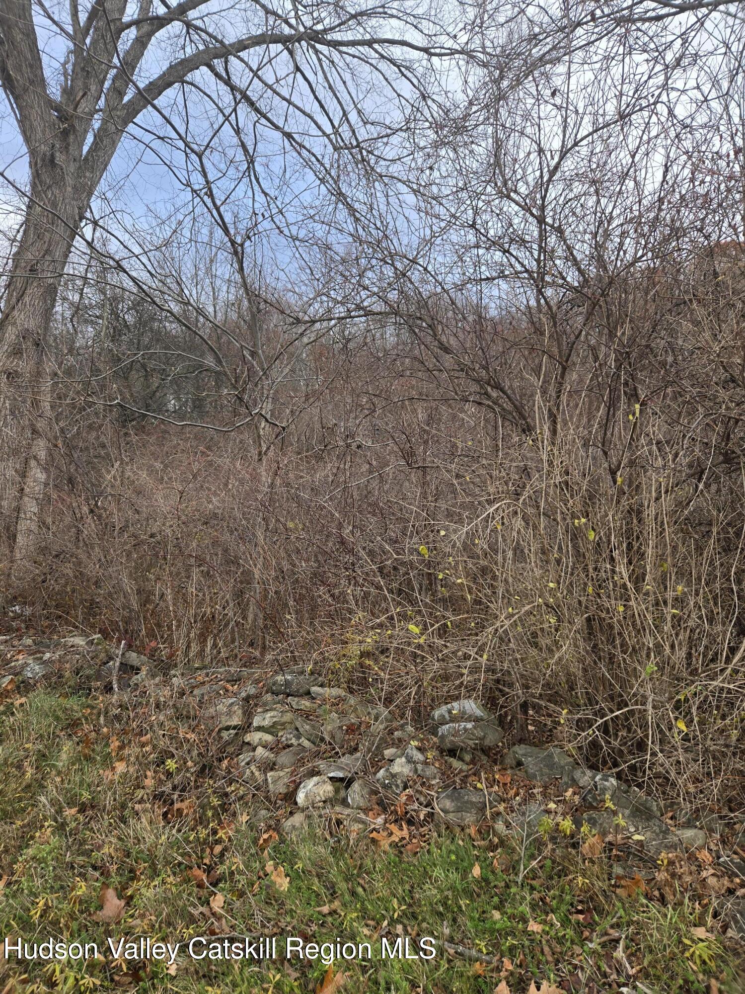 0 Farm Road Copake, NY 12516 - Photo 3 of 4