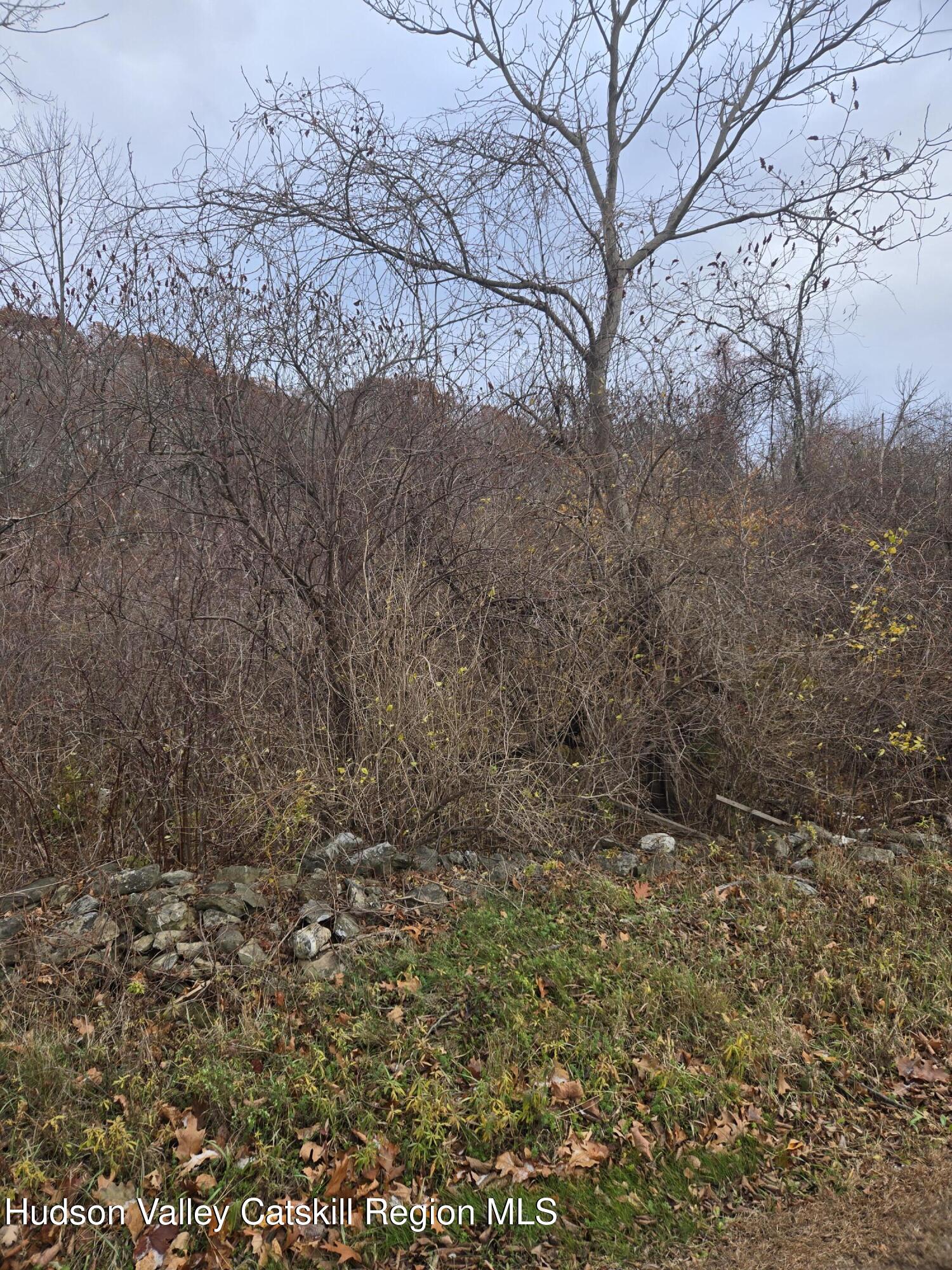 0 Farm Road Copake, NY 12516 - Photo 4 of 4 a view of mountain covered with snow